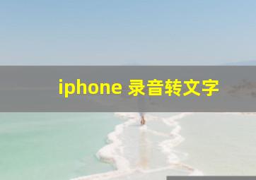 iphone 录音转文字